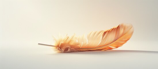 Aufkleber - Feather from a bird displayed on a plain white backdrop with ample copy space image