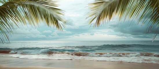 Poster - A serene beach scene with palm branches against a tranquil sea backdrop suitable for a copy space image