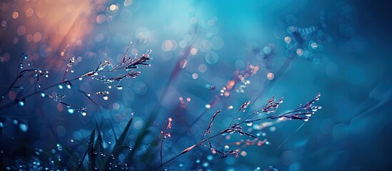 Poster - Selective focus on a plant with blurred texture and dew drops in a shallow depth of field creating a serene and visually appealing image with copy space