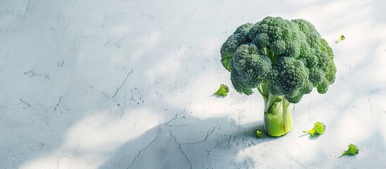Poster - Broccoli fresh and crisp displayed on a clean white backdrop with ample copy space image