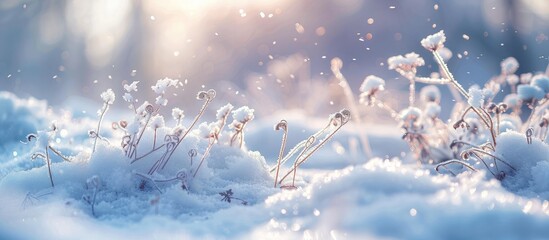 Aufkleber - Winter scene with white snow covering the ground creating a serene and cold atmosphere Perfect as a background for copy space image