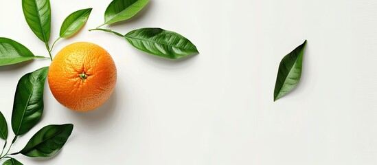 Poster - Isolated on a white background a fresh orange with leaves provides ample copy space image