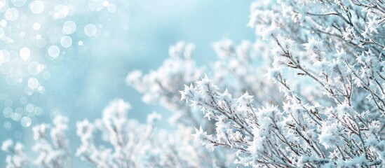 Poster - Wintry background featuring frost covered tree branches in a beautiful copy space image