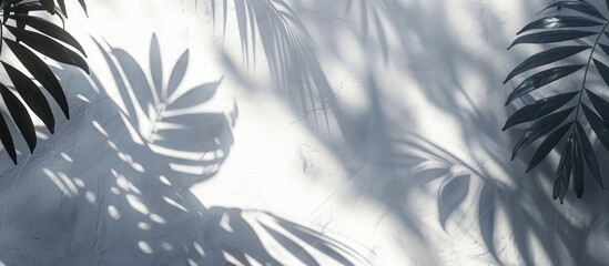 Aufkleber - Nature s tropical leaves cast shadows and light on a white wall background creating a shadow overlay effect for a background wallpaper with a copy space image