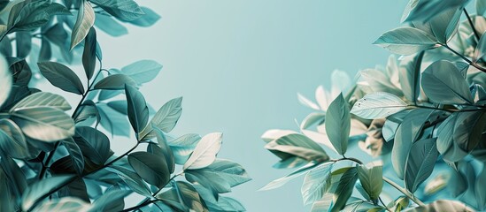 Poster - A serene scene of leaves set against a clear blue sky in a copy space image