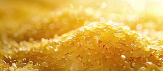 Poster - a zoomed in shot of yellowing rice with copy space image