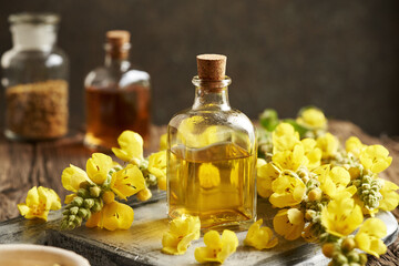 Wall Mural - A bottle of herbal tincture with fresh mullein or Verbascum densiflorum flowers