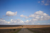 Fototapeta Konie - Summer landscape with withered grass field, sunny blue sky and clouds.