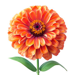 Wall Mural - A vibrant orange flower with multiple petals isolated on transparency PNG background, showcase your love for nature, beauty, and freshness, perfect for greeting cards, wall art