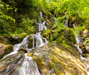 Wall Mural - Place of a Thousand Drips on The Roaring Fork Nature Trail, Great Smoky National Park, Tennessee, USA