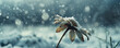 © AI_images_for_people - A wilted daisy, bent and frostbitten, with snowflakes gently resting on its petals, set against a snowy landscape.