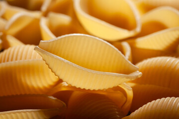 Wall Mural - pasta conchiglie macro closeup detail