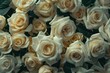 © Artstudio - Lots of white roses in top view Vintage