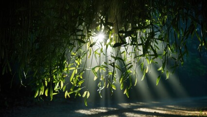 Wall Mural - A sun shining through a tree canopy with leaves and flowers, AI