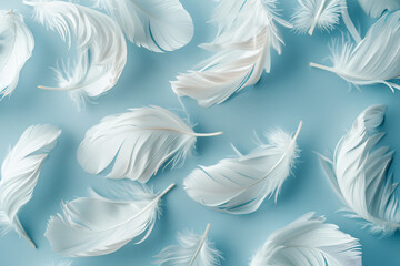 Poster - abstract white feathers on a soft blue background, monochrome in the style of