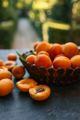 Wall Mural - Large wooden plate with apricots, summer harvest concept