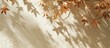 © Ilgun - Cream colored abstract autumn scene with maple tree leaves shadows on a wall background ideal for copy space image