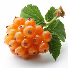 Sticker - Orange Currants Harvested From Organic Garden With Glossy Appearance and Fresh Green Leaves