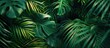 © Ilgun - Detailed closeup view of a vibrant green leaf from an exotic plant in a forest setting with a background featuring lush palm leaves Dark themed tropical leaf flat lay with copy space image