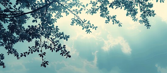 Canvas Print - Tree branches silhouetted against the sky with copy space image Nature and ecology themed summer background featuring empty space amidst treetops