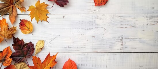 Wall Mural - Minimal fall themed background showcasing colorful leaves on a white wooden table with copy space image