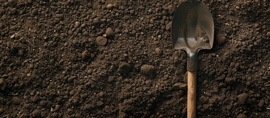 Poster - copy space image of soil texture background with a shovel on a garden bed in a farm garden emphasizi
