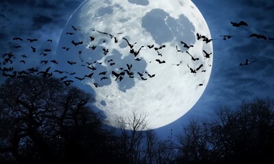 bats flying past full moon