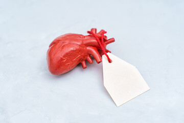 Anatomical Model Of Human Heart With Tag On Gray Background