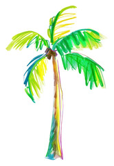 Canvas Print - PNG Palm tree plant white background creativity.