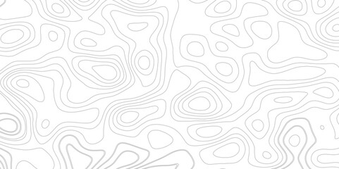 Wall Mural -  Abstract topographic map contour in lines and contours background vector.  Topo gray line contour map on white background.