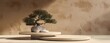 © zaa - japanese style minimal abstract background.stone podium and bonsai tree with brown background for product presentation. 3d rendering illustration.