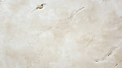 Wall Mural - Top view of a textured limestone background with subtle beige tones and fossil imprints, ideal for backgrounds 