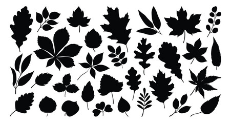set of silhouettes of various tree leaves, oak, maple, and chestnut. simple, black monochrome autumn