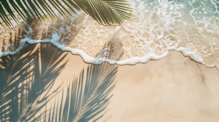 Poster - A palm tree casts its shadow on the sandy beach, suitable for summer and vacation themes