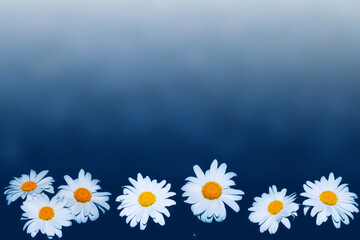 Wall Mural - white bright daisy flowers on a background of the summer landscape.