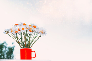 Wall Mural - white bright daisy flowers on a background of the summer landscape.