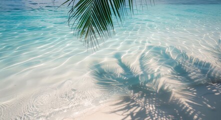 Canvas Print - Crystal Clear Waters With Palm Shadows on Sandy Shoreline in Tropical Paradise