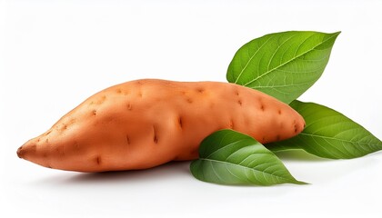 Sticker - whole sweet potato with leaves on white background isolated