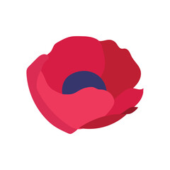 Wall Mural - colored flower icon spring time vector