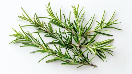 Poster - This image presents fresh rosemary sprigs with needle-like leaves, resting on a white base, showcasing their vibrant green color and suitability for flavoring dishes and garnishes.