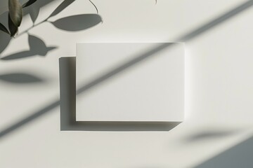 Poster - A white rectangular object casting a shadow on a white surface, accompanied by shadows of leaves. The image is minimalist and highlights simplicity and elegance.