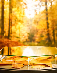 Poster - Glass Table with Autumn Leaves in a Blurred Background of Golden Forest