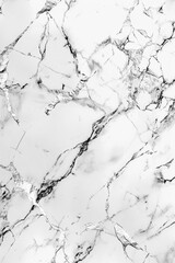 Poster - A black and white photo of a marble surface with unique patterns and textures