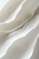 Poster - A close-up shot of a blank white sheet of paper with no writing or marks