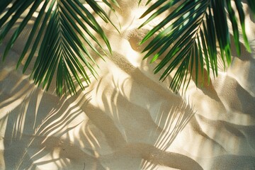 Poster - A palm tree's long stem and leaves cast a unique shadow on a wall