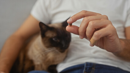 Sticker - A man offers a treat to an attentive siamese cat while sitting casually indoors, depicting a moment of pet care at home.