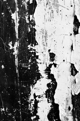 Poster - A black and white photo of peeling paint