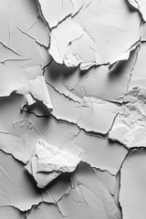 Poster - A close-up shot of a cracked concrete wall with cracks and fissures