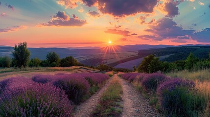 Poster - Sunset over Lavender Field