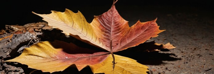 Sticker - Autumn Leaf Closeup.